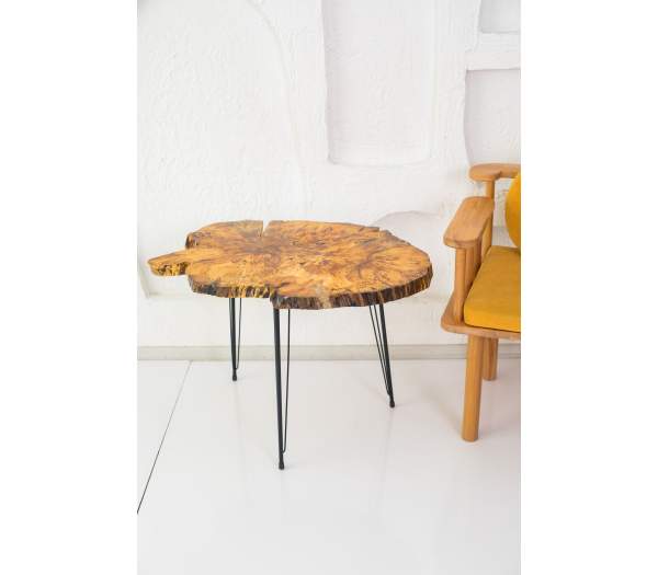 Decor Ideas Kütük Doğal Sehpa
