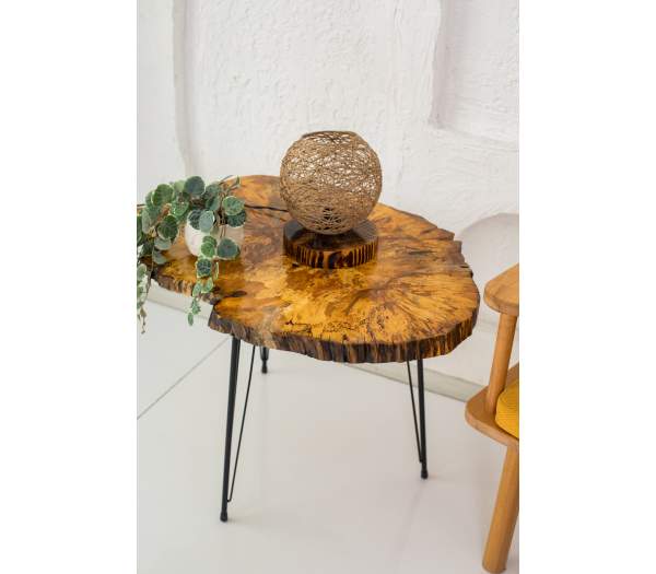 Decor Ideas Kütük Doğal Sehpa