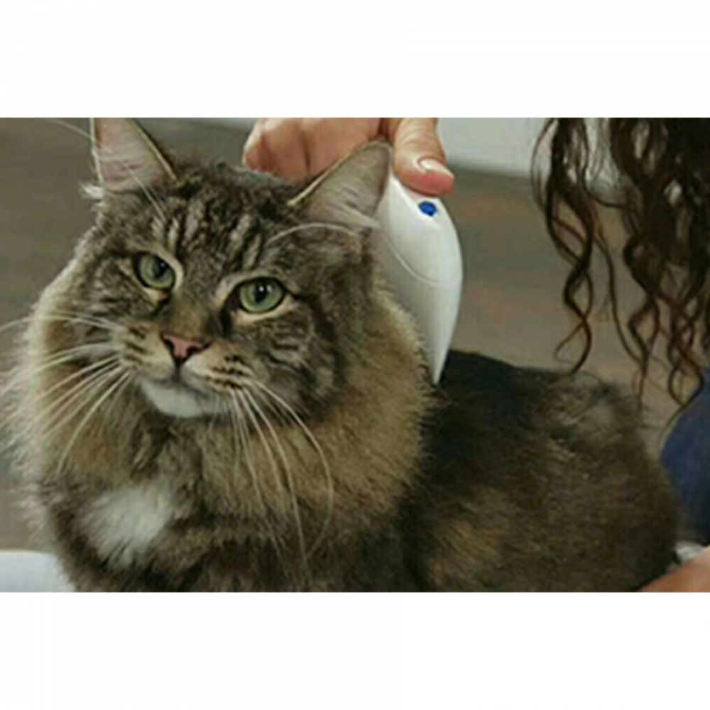 Flea Doctor Pet Hayvanlar İçin Haşere Öldürücü Pilli Pire Tarağı