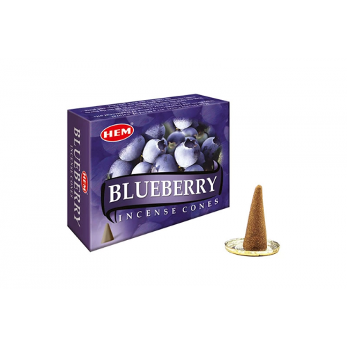 Blueberry Cones Blueberry Cones