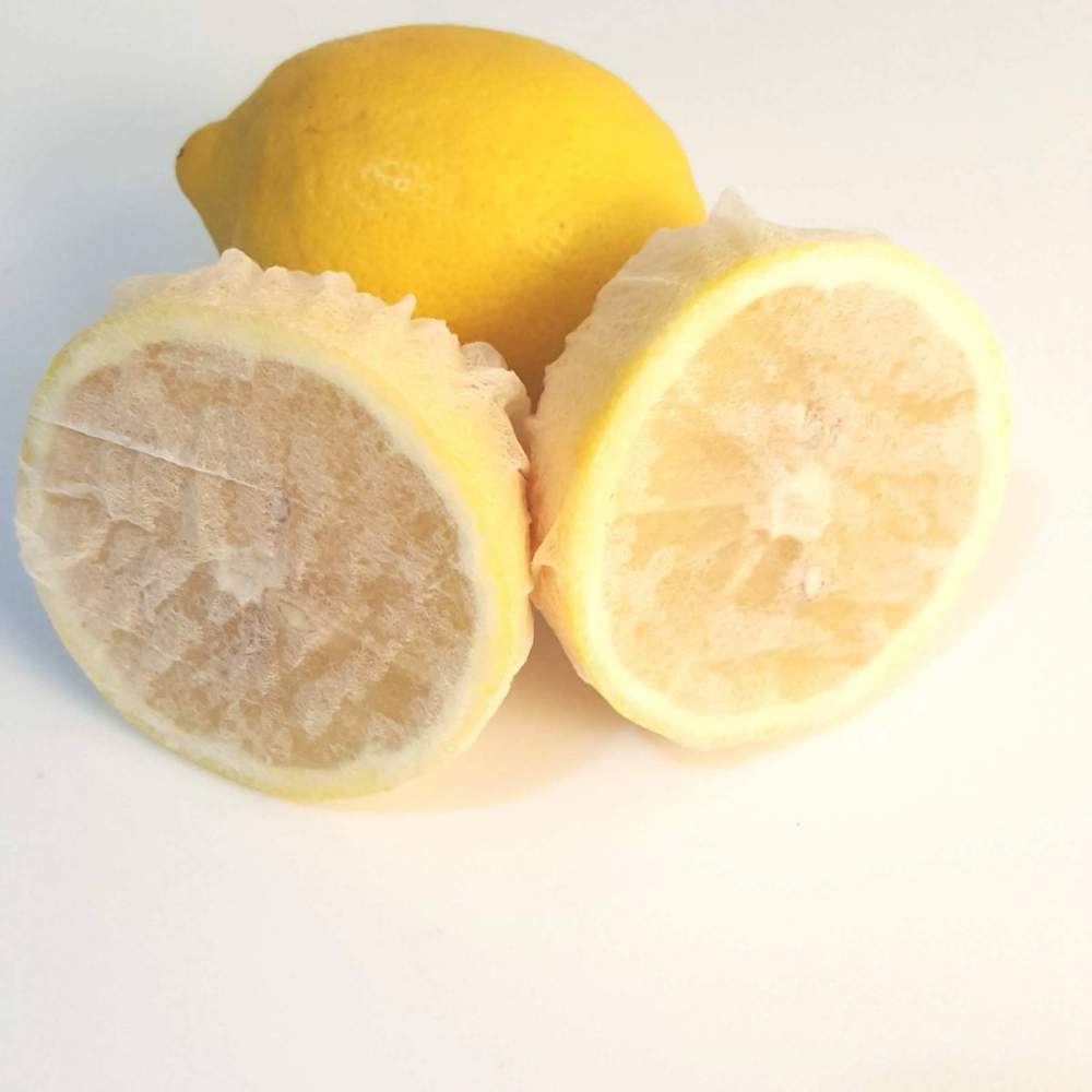 Limon Bonesi / 100 Adet / Bitki Çayı Bonesi Limon Bonesi / 100 Adet / Bitki Çayı Bonesi